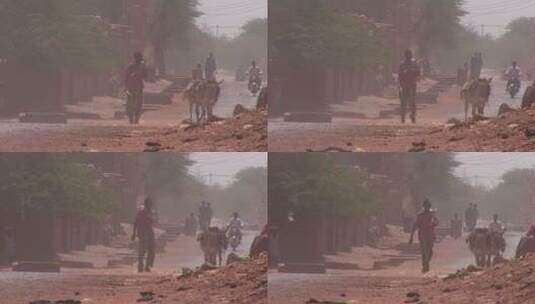 风沙天气农夫赶着驴在道路上行走高清在线视频素材下载