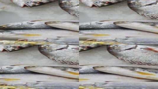 海鲜市场新鲜海鲜高清在线视频素材下载