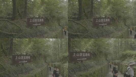 桐庐大奇山自然风景区高清在线视频素材下载