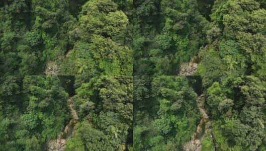 广西南宁绿色森林大明山航拍高清在线视频素材下载