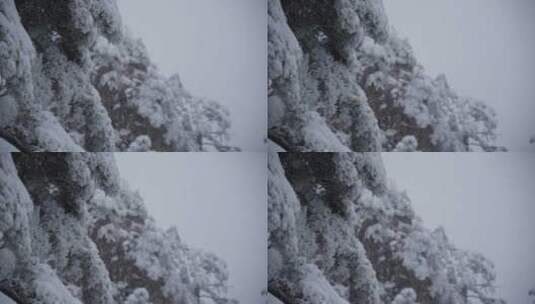 黄山 雪景 雾凇高清在线视频素材下载