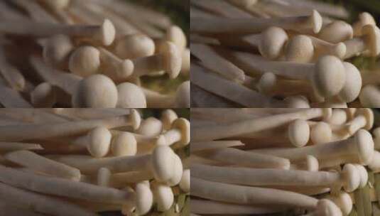 白玉菇海鲜菇高清在线视频素材下载