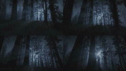 夜晚森林景观高清在线视频素材下载