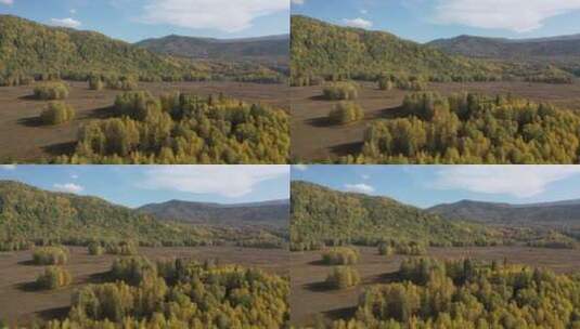 新疆阿勒泰禾木乡秋天树林村庄自然风光高清在线视频素材下载