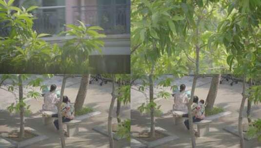 2022广州天河树木树叶住宅楼房阳台高清在线视频素材下载