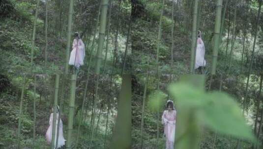 汉服妹子小姐姐拍摄素材小树林小竹林高清在线视频素材下载