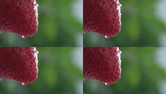 草莓上的水滴微距景观高清在线视频素材下载