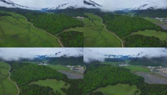 航拍雨后的鲁朗镇扎西岗村田园风光高清在线视频素材下载