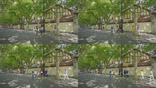 【正版素材】上海复兴西路花园洋房高清在线视频素材下载