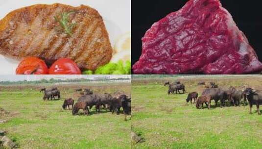 煎牛排食材高清在线视频素材下载