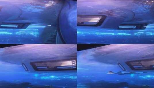 成都海洋馆里的观鱼潜艇高清在线视频素材下载