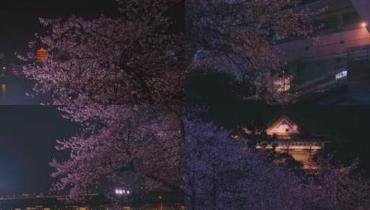 武汉夜景与樱花夜樱景观高清在线视频素材下载