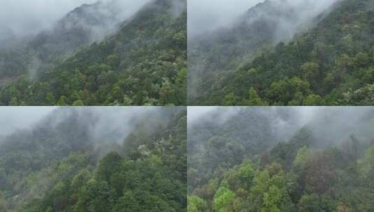 烟雨云雾缥缈的大山高清在线视频素材下载