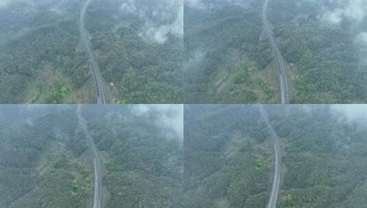 森林公路雨后森林高速公路树林汽车行驶航拍高清在线视频素材下载