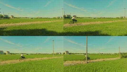 自行车骑在田间地头高清在线视频素材下载