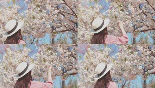 初春唯美樱花树下女生高清在线视频素材下载