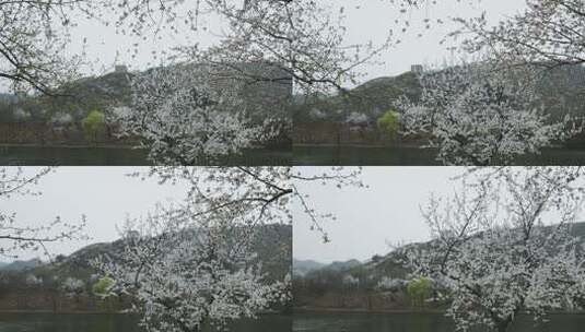 北京黄花城水长城春季风光高清在线视频素材下载