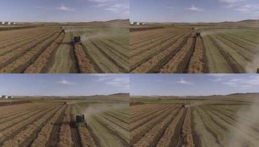 油菜丰收之农机作业高清在线视频素材下载