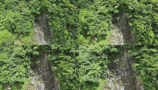 航拍湖北神农架官门山景区悬崖蜂箱高清在线视频素材下载