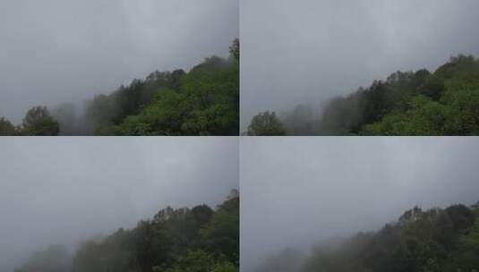 雅安名山区雨中蒙顶山 (1)高清在线视频素材下载