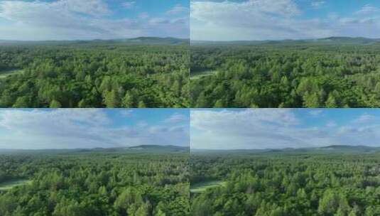 航拍绿色的森林高清在线视频素材下载