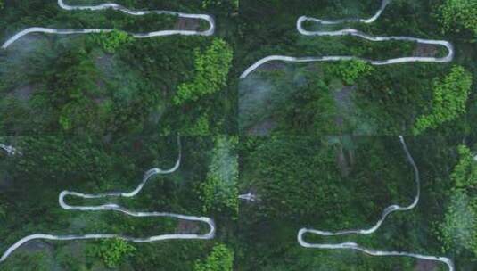 穿过竹林的盘山公路航拍高清在线视频素材下载