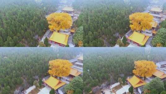 山东济南淌豆寺秋天航拍寺庙高清在线视频素材下载