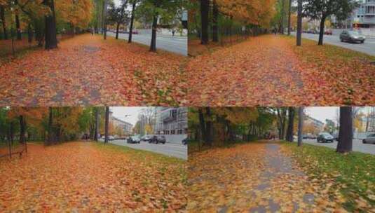 秋天公园的地面落叶高清在线视频素材下载
