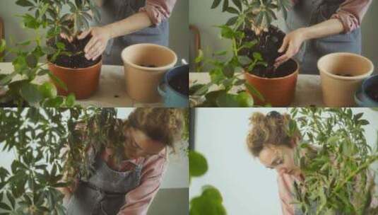 女性园丁将植物连根拔起高清在线视频素材下载