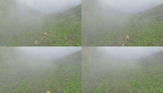 航拍四川阿坝巴朗山垭口云雾中的露营者高清在线视频素材下载