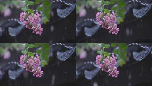 下雨天紫薇花和屋檐瓦片高清在线视频素材下载