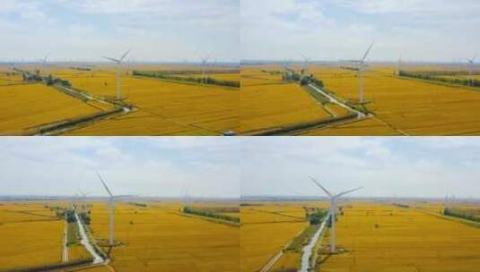 风力发电机和金黄色的水稻田高清在线视频素材下载