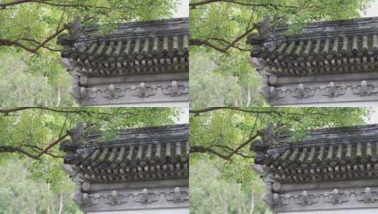 中国古典园林、江南园林、深圳园博园高清在线视频素材下载
