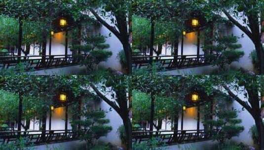 古典园林南京瞻园传统园林庭院的夜景风光高清在线视频素材下载