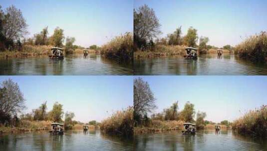 中国杭州西溪湿地摇橹船河中前行高清在线视频素材下载