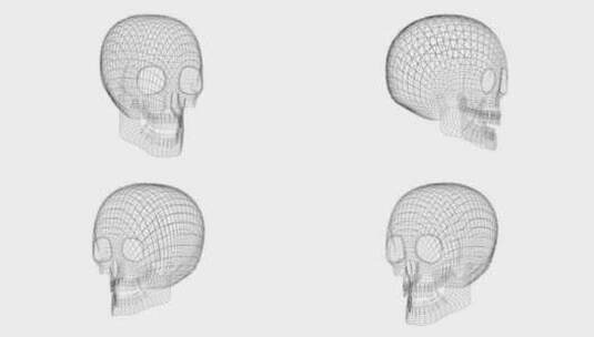三维人体头骨动画高清在线视频素材下载