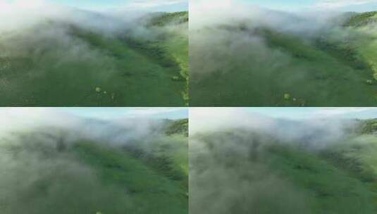 大兴安岭自然风光森林云海晨雾高清在线视频素材下载