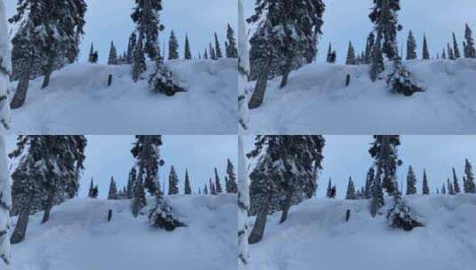 滑雪者咋落满大雪的森林滑雪高清在线视频素材下载