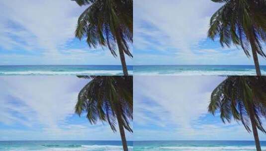 大海海浪椰子树高清在线视频素材下载