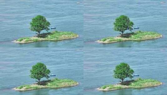 航拍孤独岛上一棵树高清在线视频素材下载