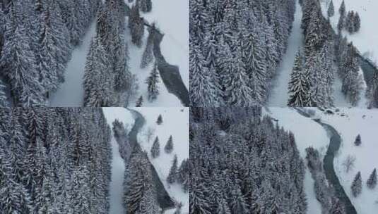 森林雪景白色覆盖高清在线视频素材下载
