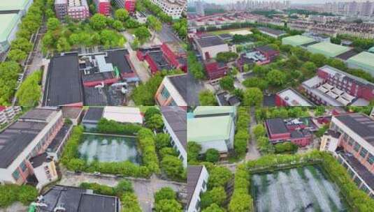 上海体育大学徐汇校区航拍校园风景风光素材高清在线视频素材下载