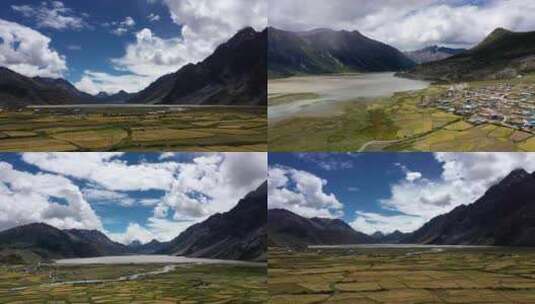 西藏青稞地自然风光4K航拍高清在线视频素材下载