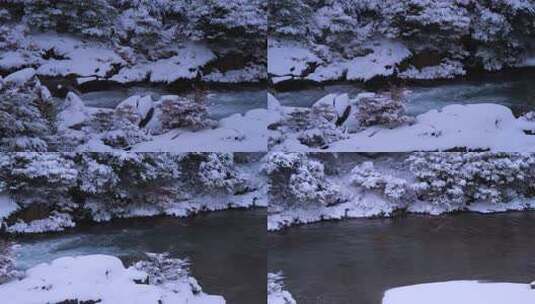 溪边雪景，白雪覆盖植被与溪流相映成趣高清在线视频素材下载