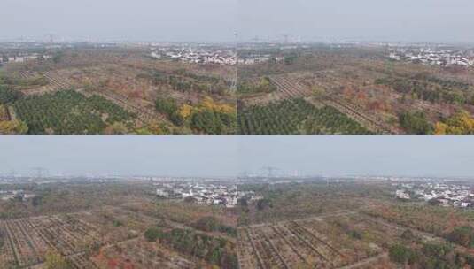 江苏农村风貌航拍高清在线视频素材下载