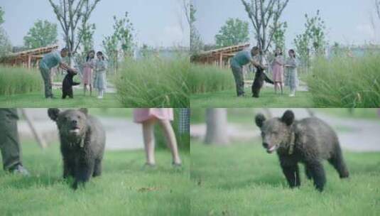 公园内小女孩跟小熊嬉闹高清在线视频素材下载