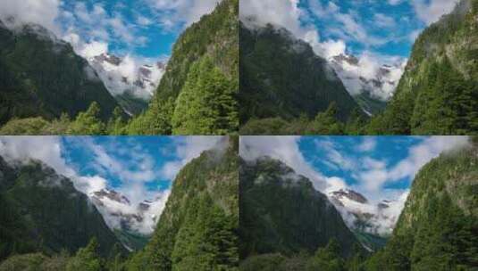 藏区原始森林云雾溪流高清在线视频素材下载