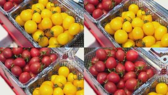西红柿番茄小柿子水果黄柿子蔬菜高清在线视频素材下载