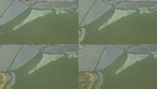 武汉月湖风景区航拍高清在线视频素材下载