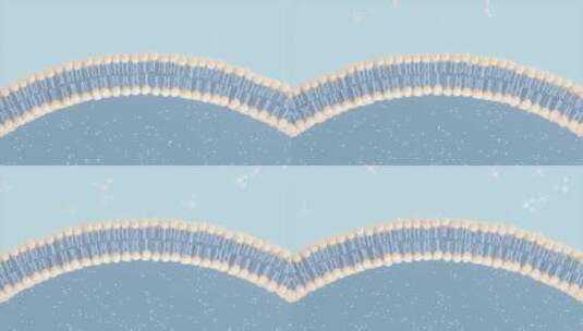 细胞膜与分子结构 3D渲染高清在线视频素材下载